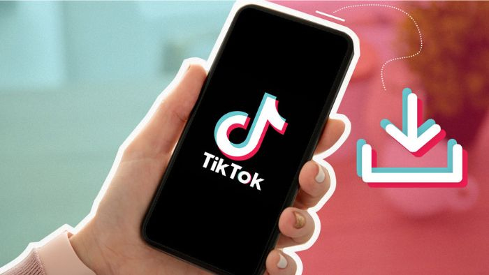Begini Cara Download Video TikTok Tanpa&nbsp;Aplikasi
